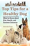 Top Tips for a Healthy Dog
