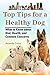 Top Tips for a Healthy Dog by Amanda  Cross