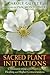 Sacred Plant Initiations: C...