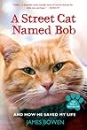 A Street Cat Name...