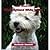 West Highland White Terrier
