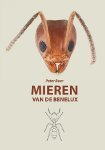 Mieren van de Benelux