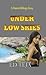 Under Low Skies: A Novel of...