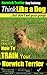 Norwich Terrier Dog Training: Think Like a Dog But Don't Eat Your Poop!