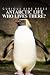 Antarctic Life Who Lives Th...