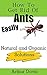 How To Get Rid Of Ants Easily: Natural and Organic Solutions