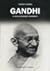 Gandhi. Il rivoluzionario disarmato by Yogesh Chadha