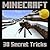Minecraft: 30 Secret Minecraft Tricks Your Friends Won't Know