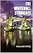 The Whitehall Syndicate: A time travel conspiracy thriller