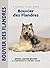 Bouvier Des Flandres (Comprehensive Owner's Guide)