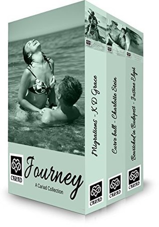 Journey  (Cariad Collections, #7)