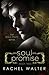 Soul Promise (Soul Mate, #2)