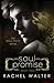 Soul Promise by Rachel Walter