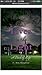 Our Lives in the Light by Amy Kingdom