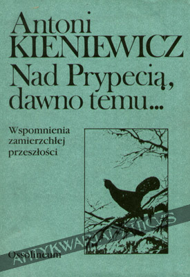 Nad Prypecią, dawno temu...: Wspomnienia zamierzchłej przeszłości