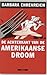 De achterkant van de Amerikaanse droom by Barbara Ehrenreich