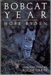 Bobcat Year