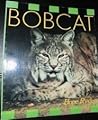Bobcat