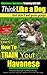 Havanese, Havanese Training AAA AKC | THiNK Like a Dog, But Don’t Eat Your Poop! | Havanese Breed Expert Training |: Here's EXACTLY HOW To Train Your Havanese
