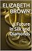 A Future in Silk and Diamonds (The Wellington Series, #1)