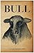 Bull