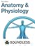 Anatomy & Physiology