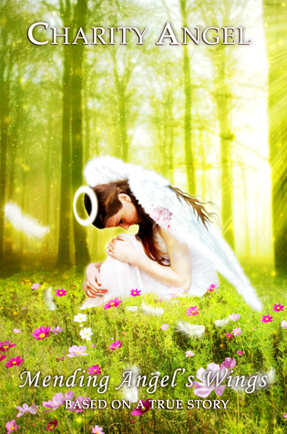 Mending Angel's Wings (#1)