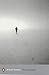The Outsider