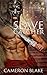 The Slave Catcher by Cameron Blake