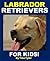 Labrador Retrievers for Kids!