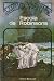 Escola de Robinsons by Jules Verne