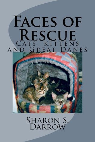Faces of Rescue: Cats, Kittens and Great Danes