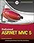 Professional ASP.NET MVC 5