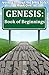 Genesis: Book of Beginnings (Journey Through the Bible 1)