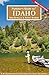 Flyfisher's Guide to Idaho