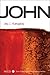 John (New Covenant Commentary Series)