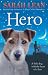 Hero: An Illustrated Children's Adventure Novel of Character and Responsibility