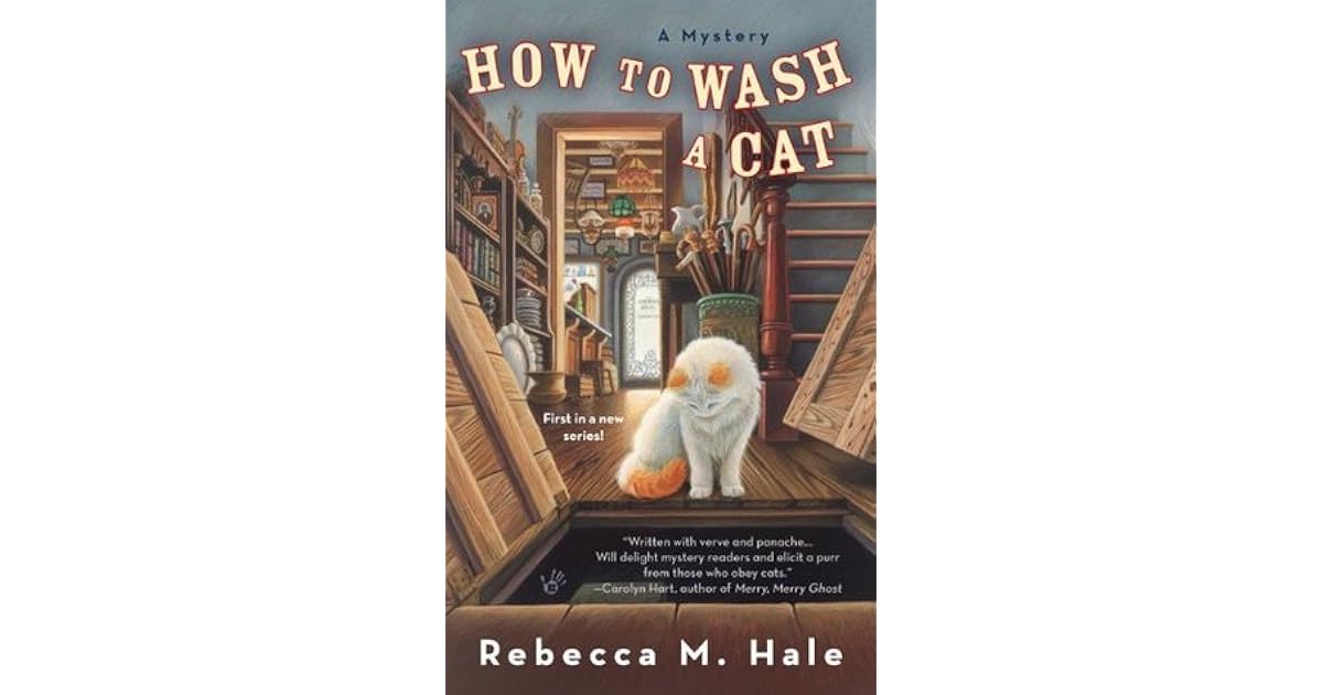 How to Wash a Cat by Rebecca M. Hale