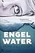Engelwater (Malin Fors, #1)