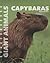 Capybaras (Giant Animals)