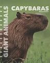 Capybaras