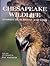 Chesapeake Wildlife: Stories of Survival and Loss