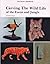 Carvers Handbook: Carving t...