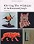 Carvers Handbook by David E. Pergrin