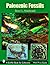 Paleozoic Fossils (Schiffer Book for Collectors)