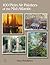 100 Plein Air Painters of the Mid-Atlantic