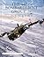 The 467th Bombardment Group (H) in World War II by Perry Watts
