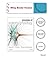Principles of Anatomy & Physiology [with A Brief Atlas of the... by Gerard J. Tortora