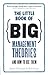 The Little Book of Big Management Theories: ... and how to use them
