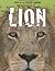 Lion: Killer King of the Plains (Top of the Food Chain, 5)